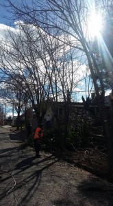 13510885_1741550332759546_8175892841761238639_n