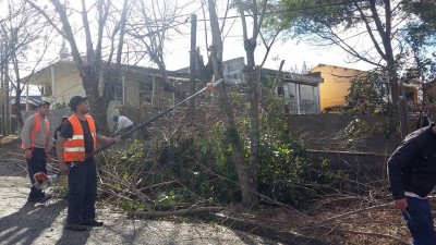 13522010_1741550289426217_2360738436317531241_n